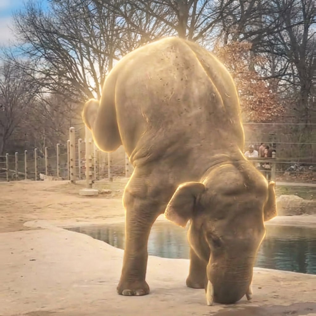 Gud Tokies tweet media