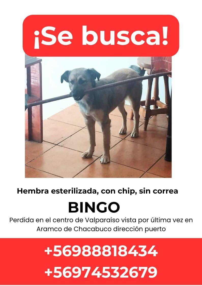 AnimalParaíso tweet media