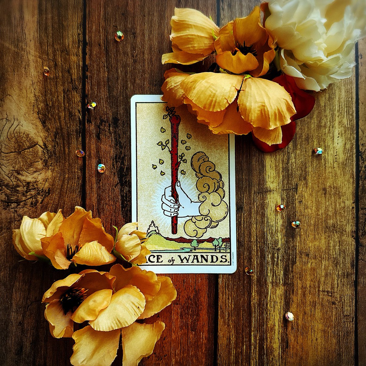 真木あかり tweet media