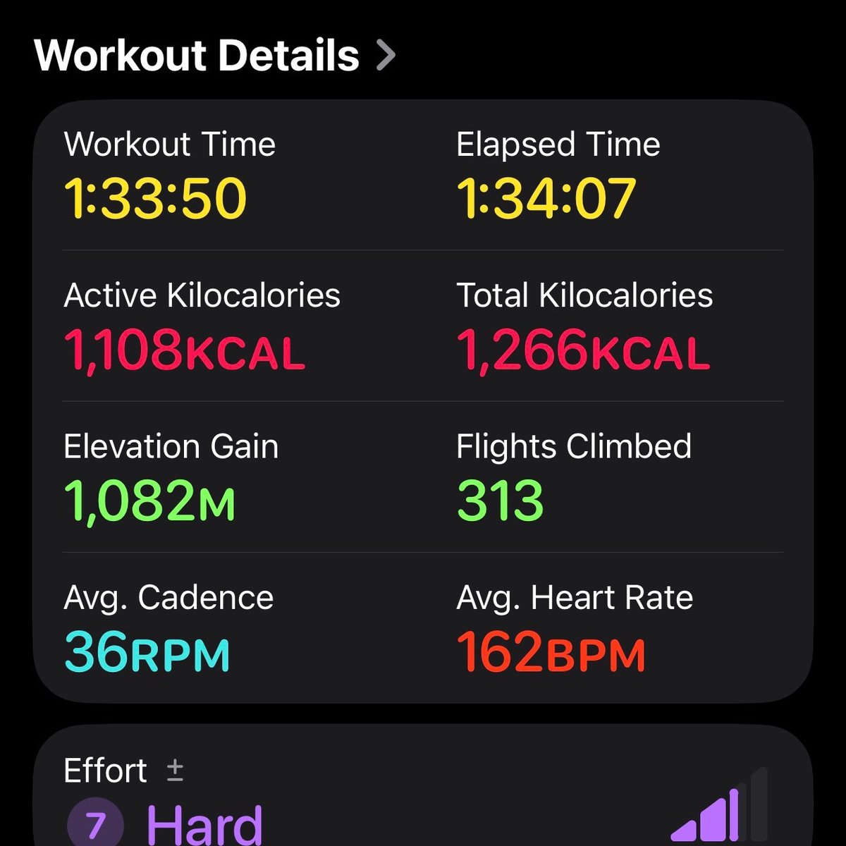 wsb｜3カ国渡り歩くロー生🇯🇵🇺🇸🇦🇺 tweet media