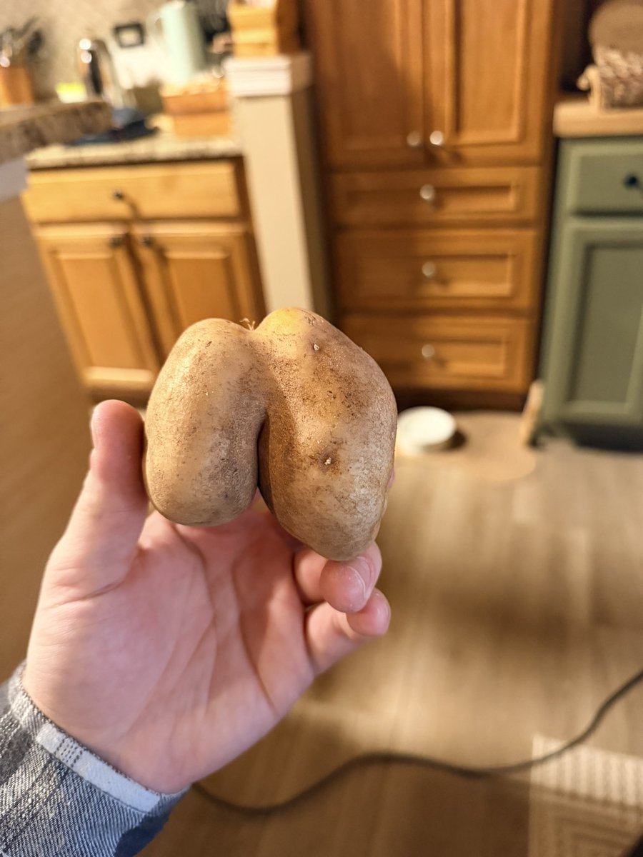 Nick Fatigato tweet media