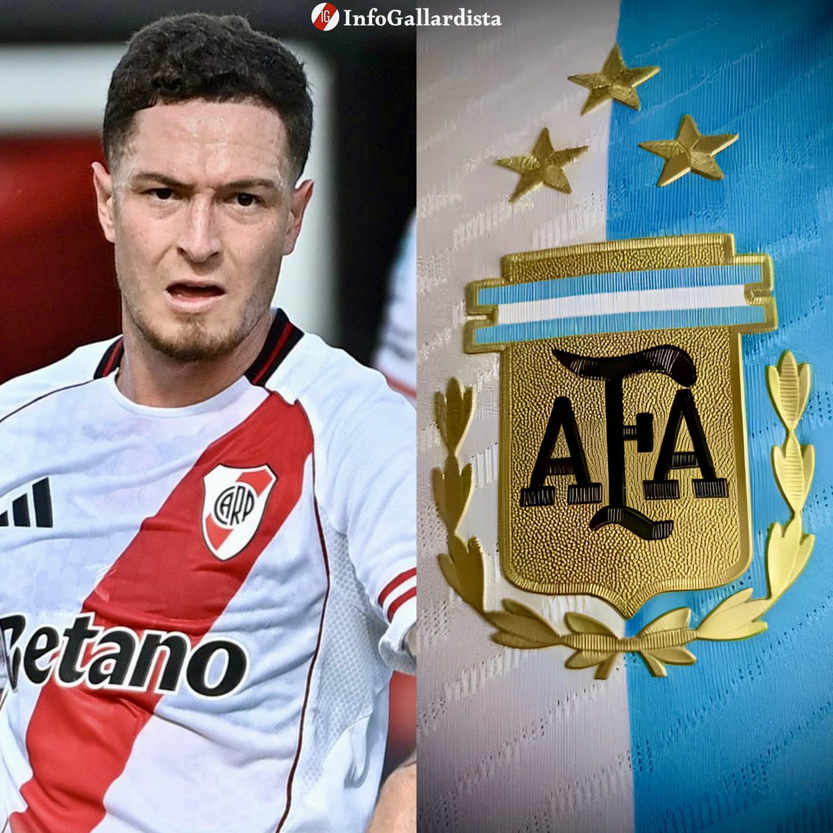 Info Gallardista tweet media