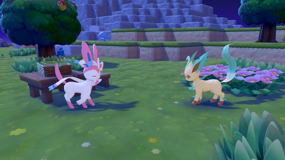 Islander Iris 🍊🧡 tweet media