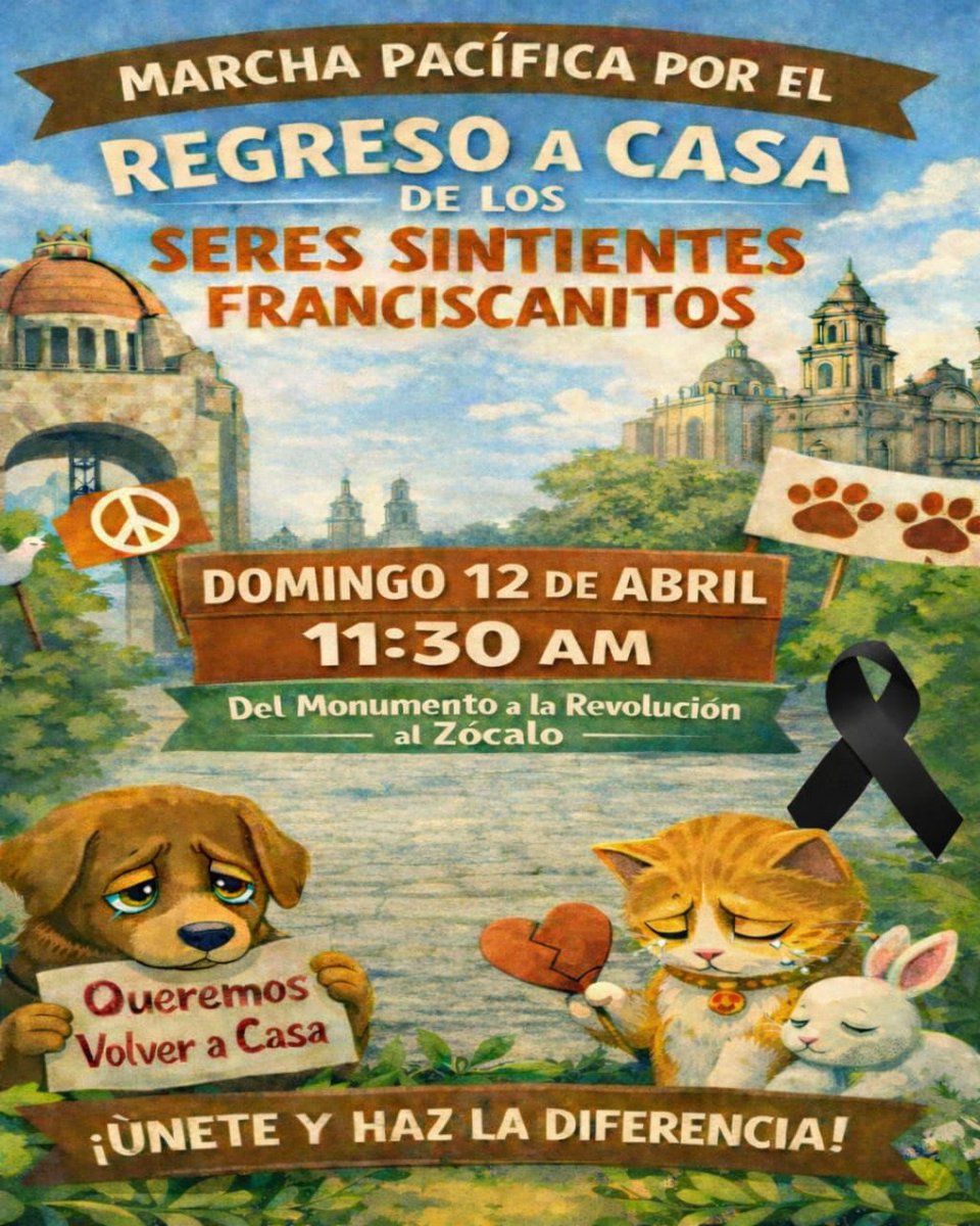 JORGE BECERRIL JB/8 tweet media