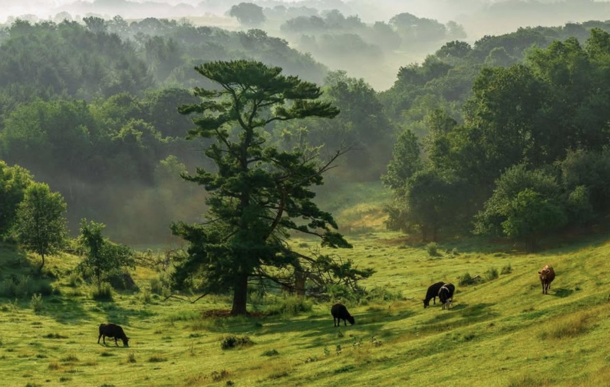 I, Robert tweet media