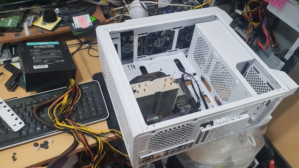 Dorkas🍞🐯🎵 tweet media