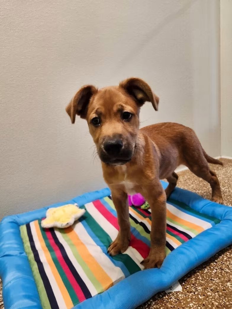 Տᗩᑎᗪᖇᗩ tweet media