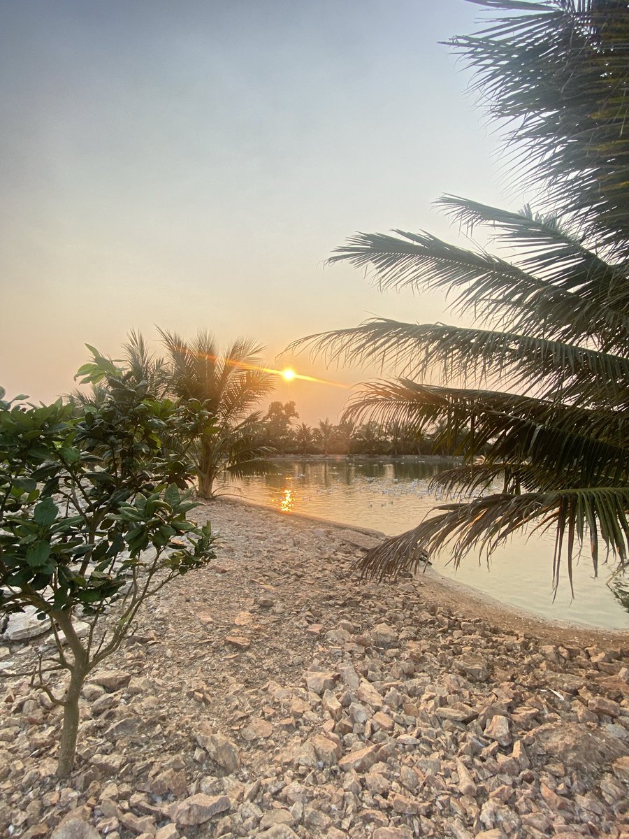 Nguyễn Xuân Phú | Rich tweet media