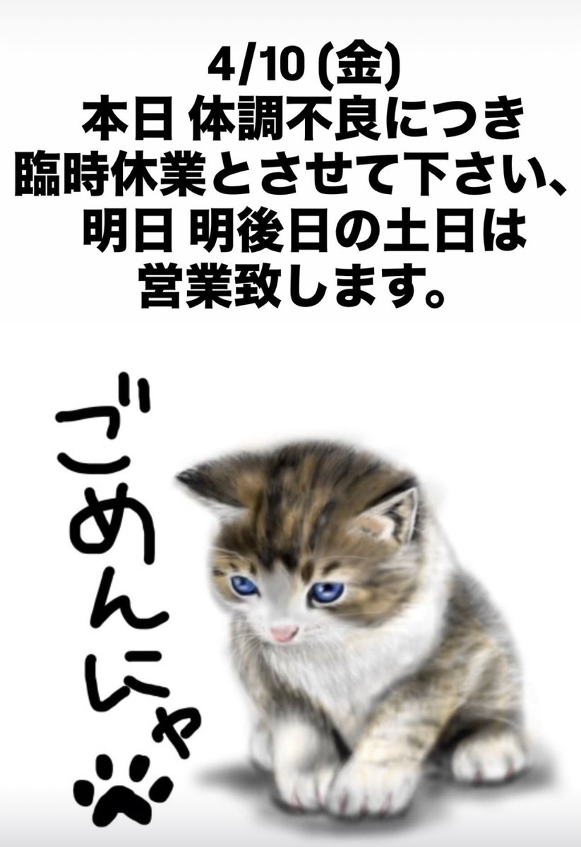 矢沢🍜🍺🏍️🍜🐱🎯🍜兄貴 (@yazawa_aniki) on Twitter photo 