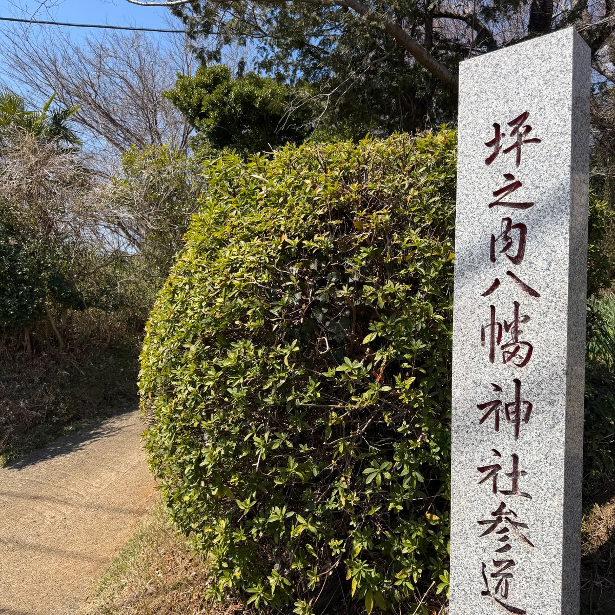 My Playful Town（MPT）-伊勢原市内在学中の大学生による町の楽しみ方- tweet media