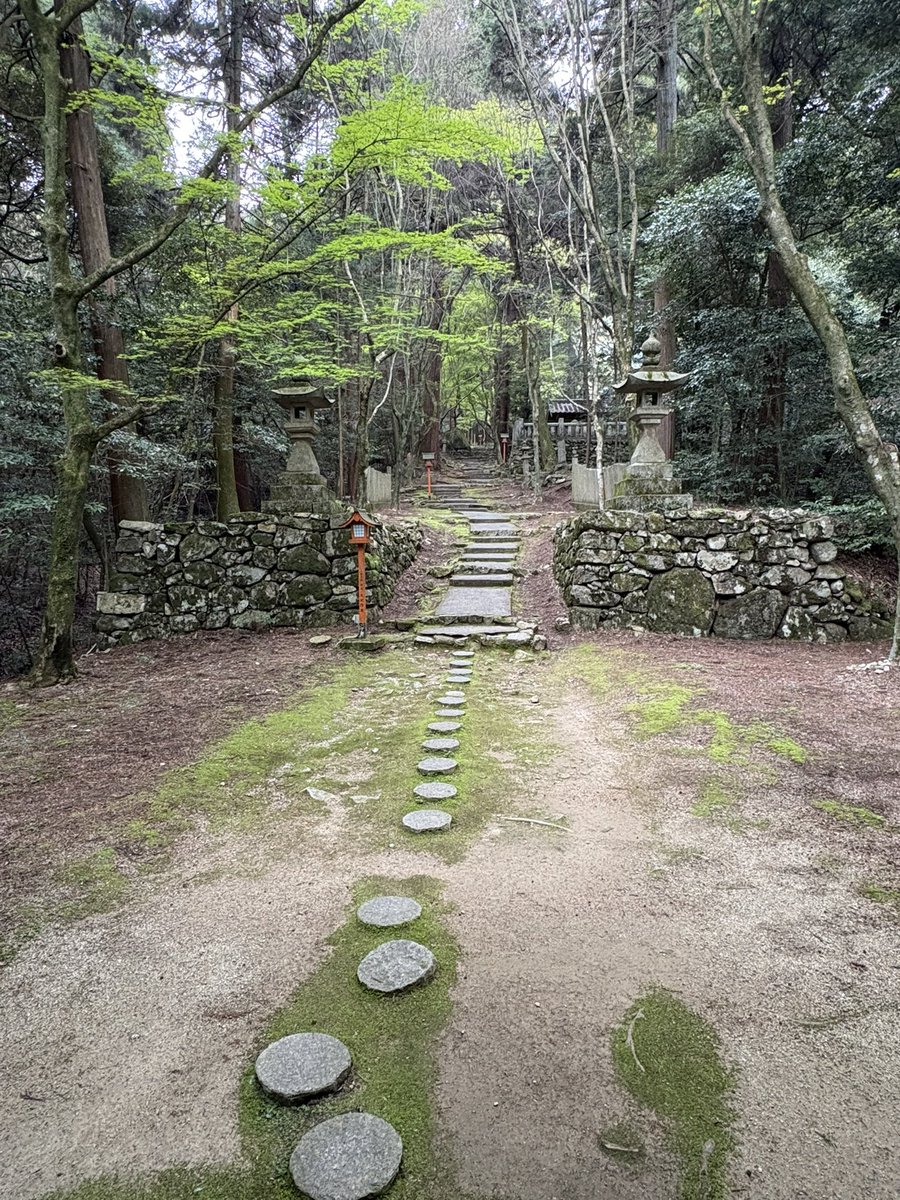 hyou75zen's tweet photo. 2つ目はここ！
階段約300段中々きつかった…
苔もめっちゃあった笑
季節が違うなこりゃって感じやったww
また、秋に行きます！
 #四国別格二十霊場
 #寺巡り
 #もみじ寺
 #西山興隆寺 https://t.co/4fmVPPNeid