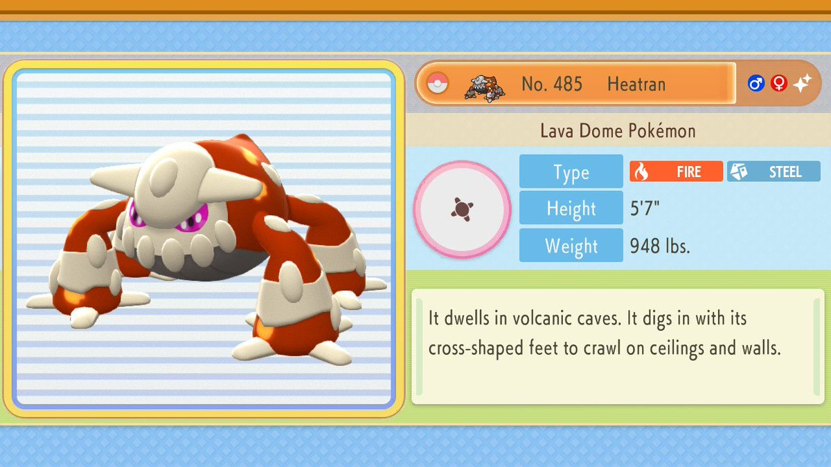 stelle 🌺 tweet media