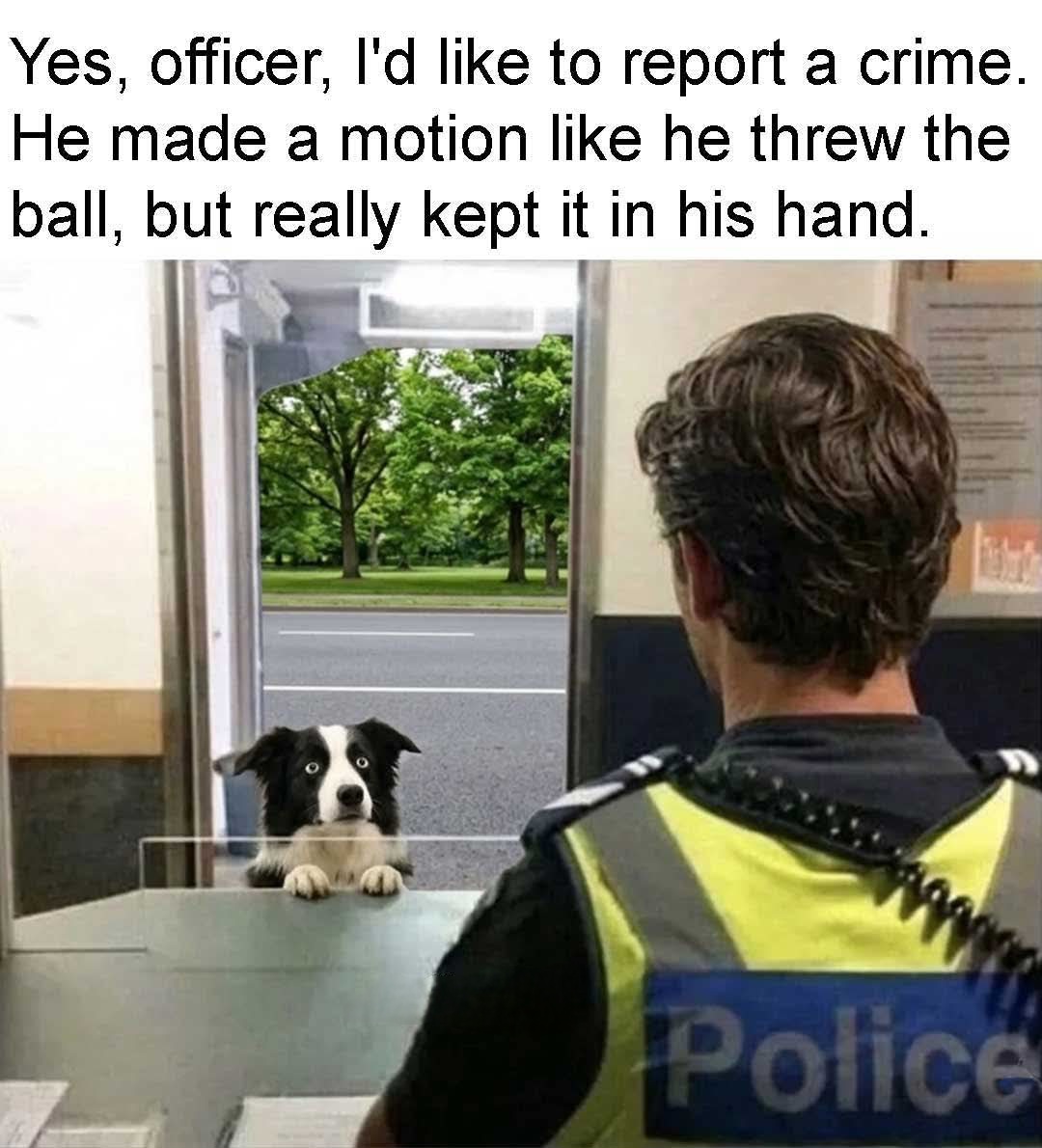 SillElliS tweet media