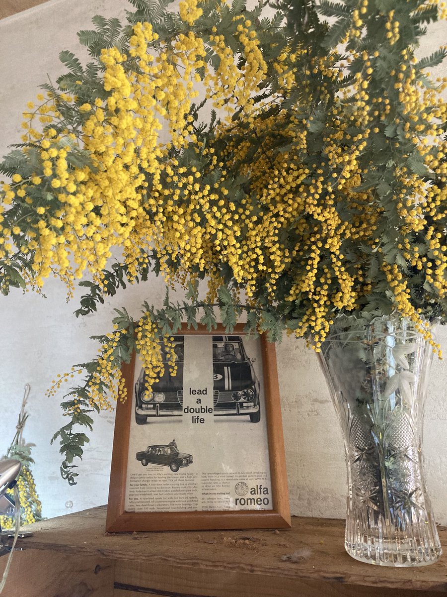 kaze_coffeeshop's tweet image. おはようございます。
風珈琲店、オープンしました。
比叡山山頂付近は雨。
今朝の一杯は、
#noritake カップ＆ソーサー
今日もよろしくお願いします。