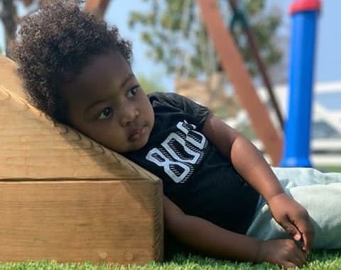 Random Posts tweet media