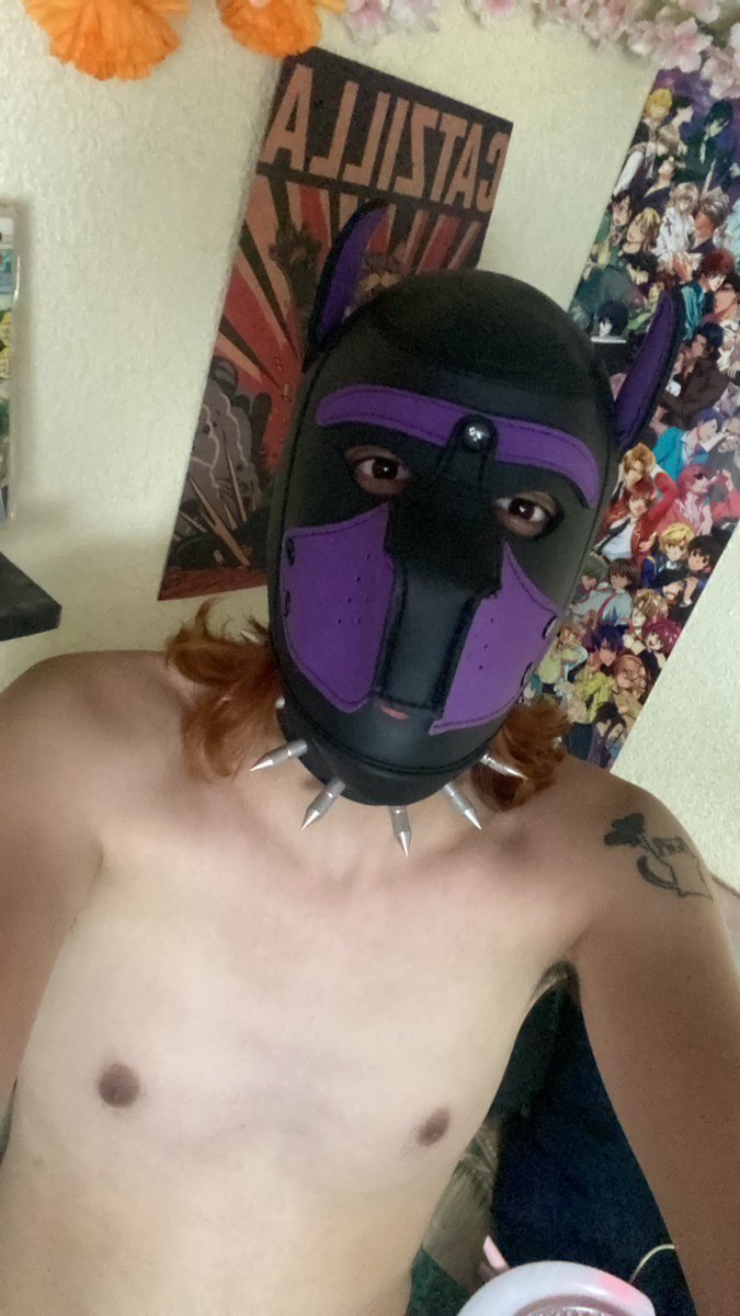 SparkiShadowAD's tweet photo. Jeje Cute puppy 💕🐶 #puppyplay #gayaguascalientes https://t.co/LvWqfqX4f0
