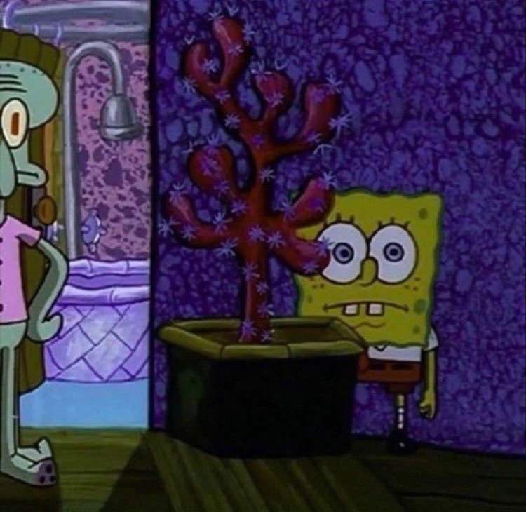 Mithrandir 🍃 tweet media