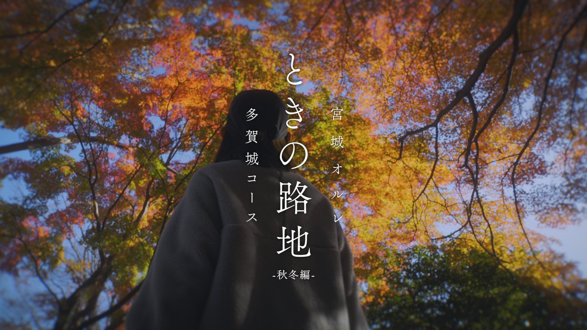 多賀城市 tweet media