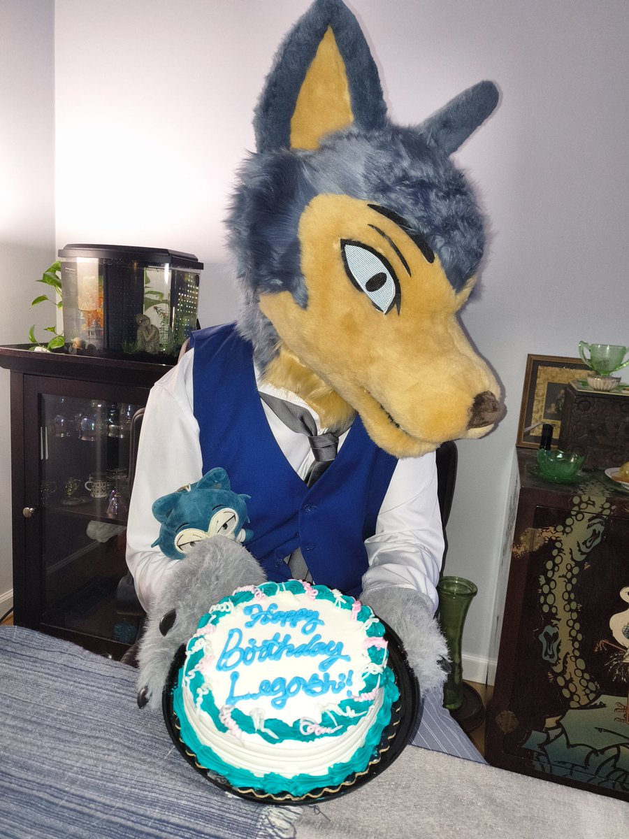 This day comes around only once a year... Happy birthday to #Legoshi! 

Thank you to everyone who's supported my Legoshi shaniangans it means a lot. So let's celebrate this very special day together :3 
#beastars #FursuitEveryday #furry #fursuit