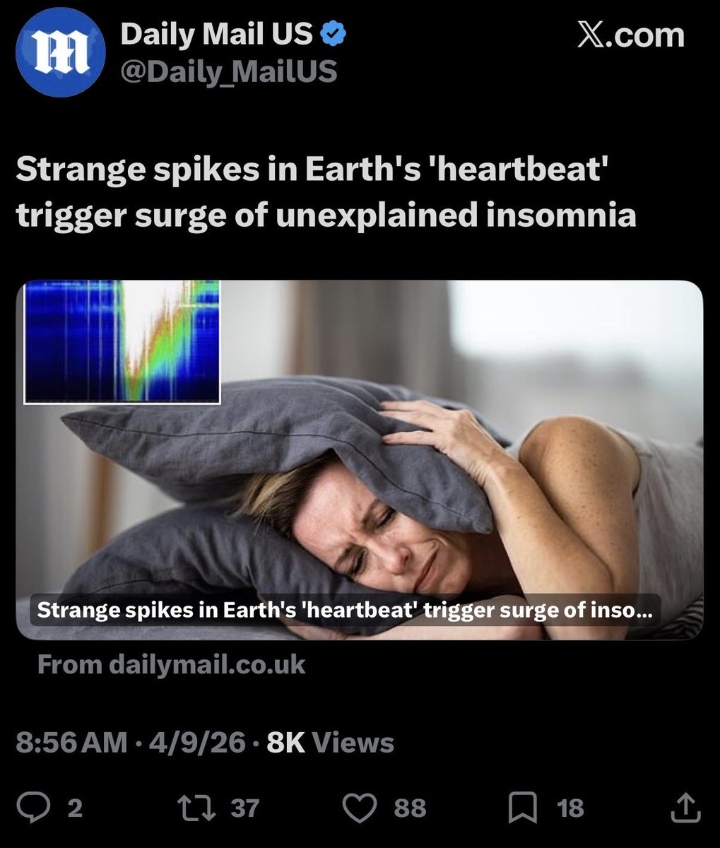 SusanInspired tweet media