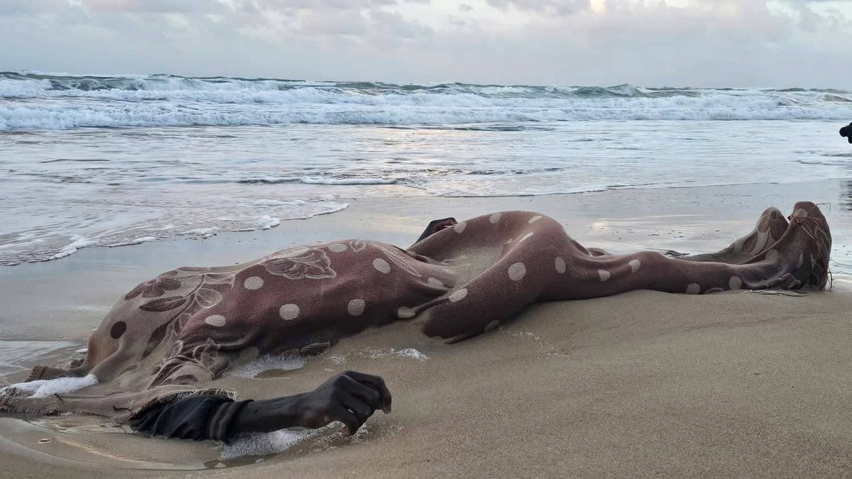 Ghost CFC tweet media