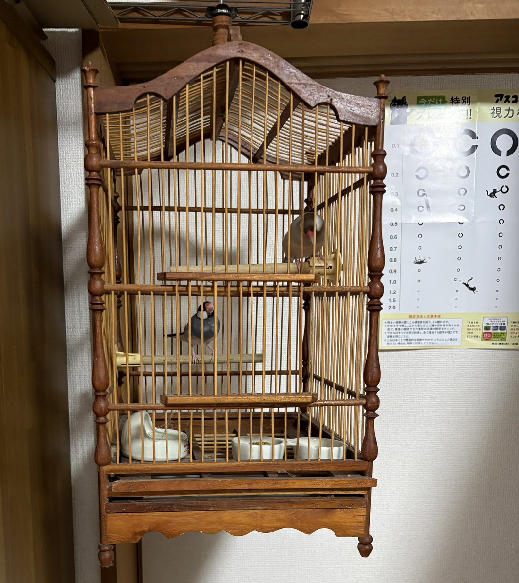 沙羅*yutakanahito tweet media