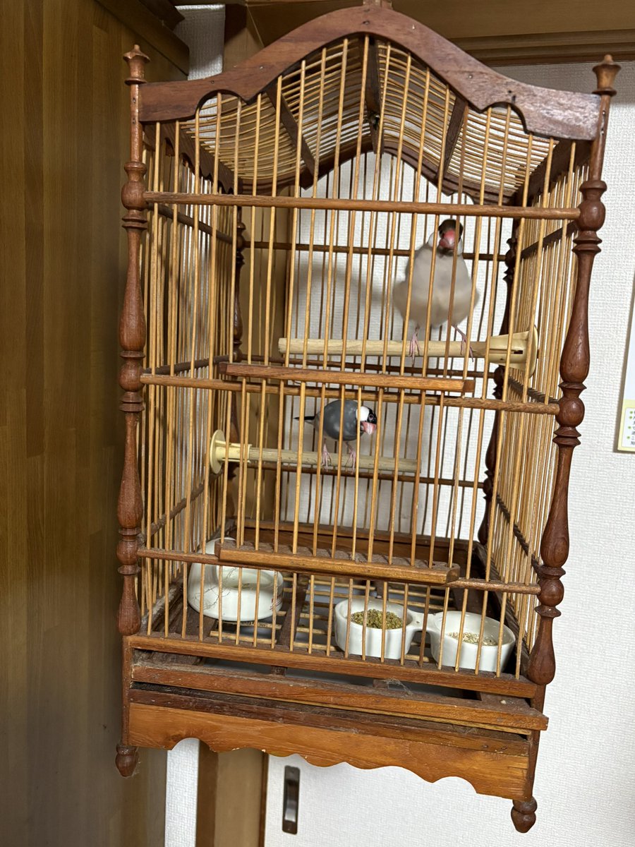 沙羅*yutakanahito tweet media