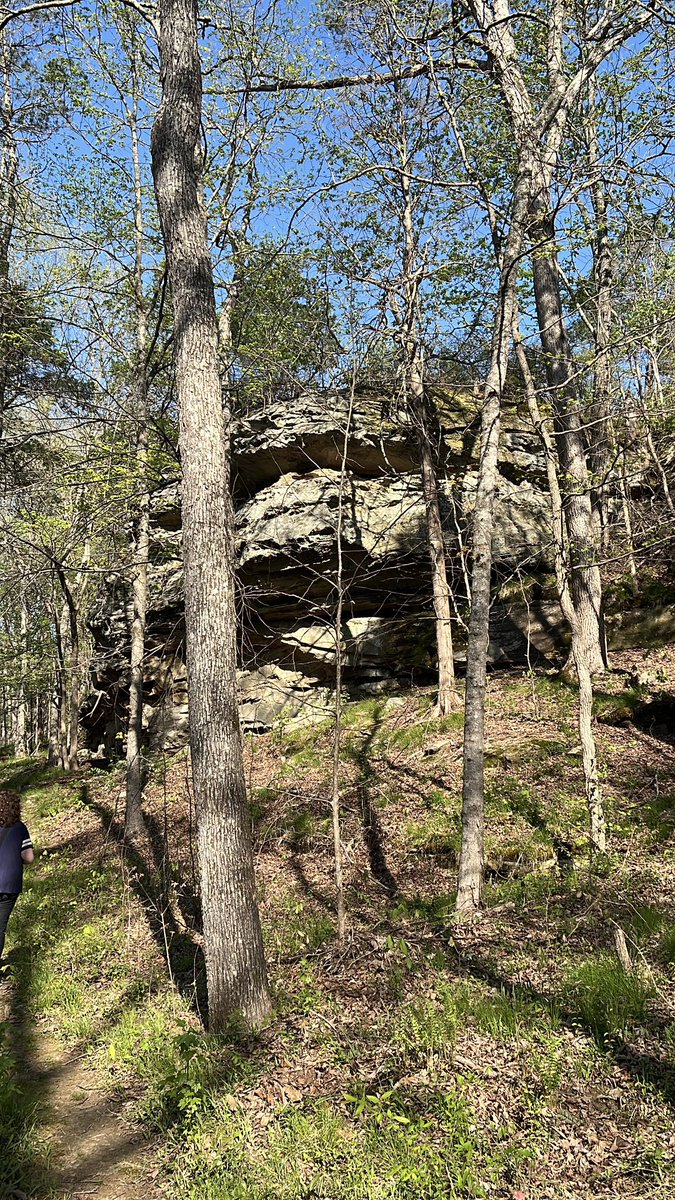 FriendshipAir's tweet photo. Day 2 with Fresh Air Friendship:
Canyons ➡️ Tunnels ➡️ Vineyards ➡️ River Views. 
Southern Illinois is the weekend recharge we needed. 🌿🍷⚓️
#ExploreIL #FreshAirFriendships #MetropolisIL #WineTrail https://t.co/dEOH3Zi5py