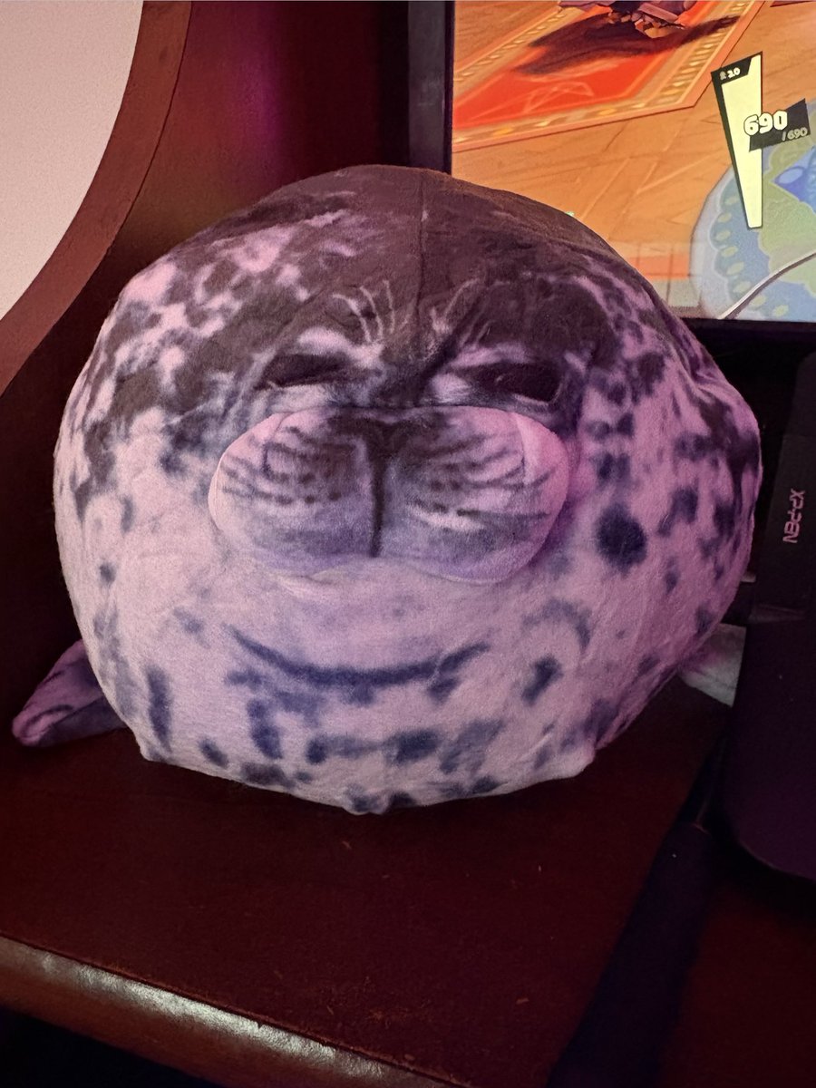 fin 🦭 tweet media