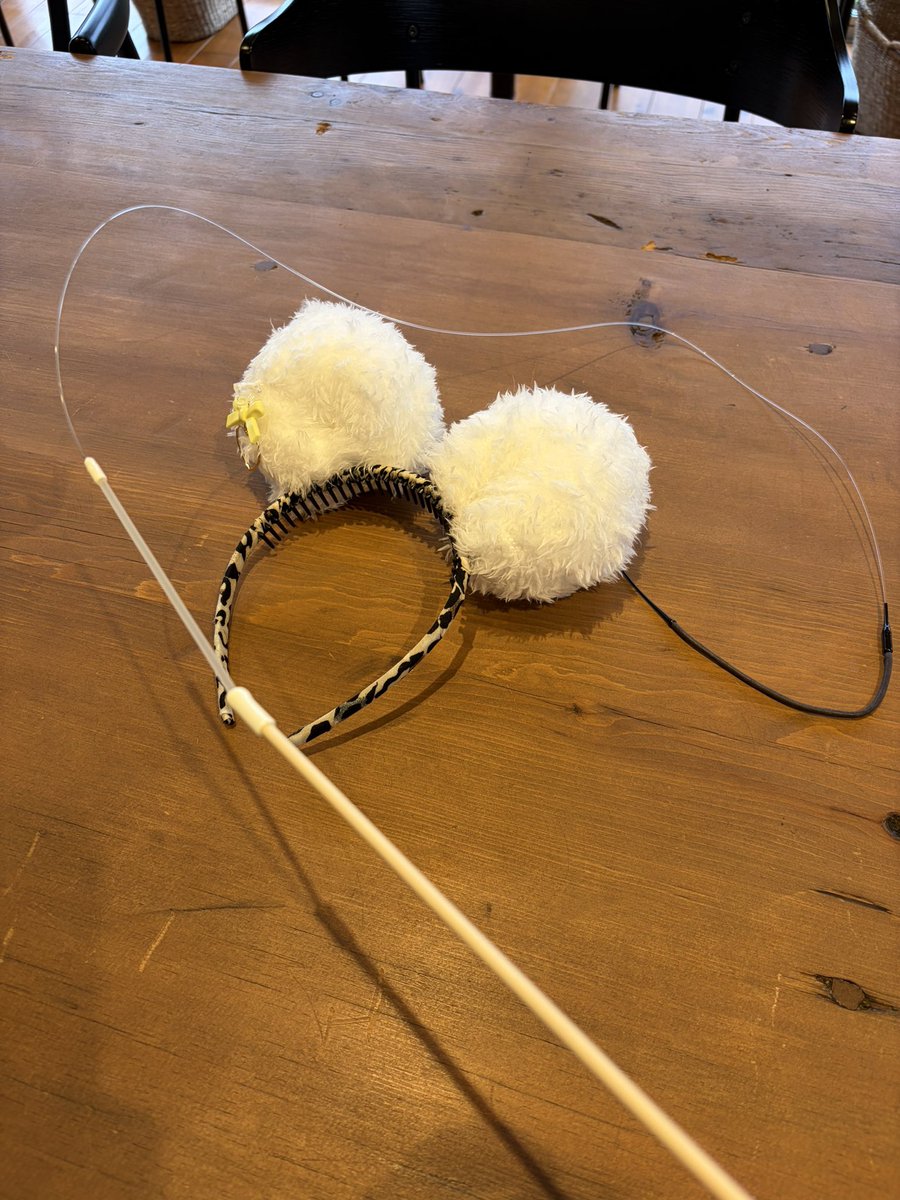 昨晩はリアル喫茶ナッシーロールが開催され、ふにゃさん作のおっぱい、、いやマシュマロ猫耳を付けて給仕をしていました。普段しない行動や発言をしたせいか、疲労感が半端なく、モーニングを休もうかと思いましたが、ちゃんと営業しましたよ😄
いろんな意味で50オーバーには
キツい仕事でした😆