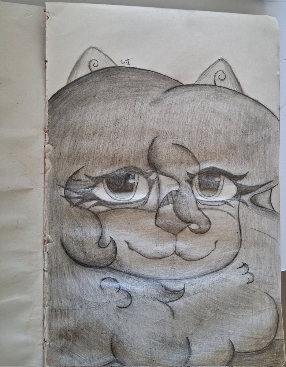 cat 🎨🖌 tweet media