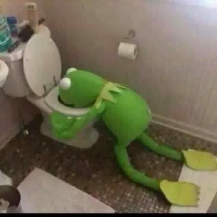 bicha geográfica tweet media