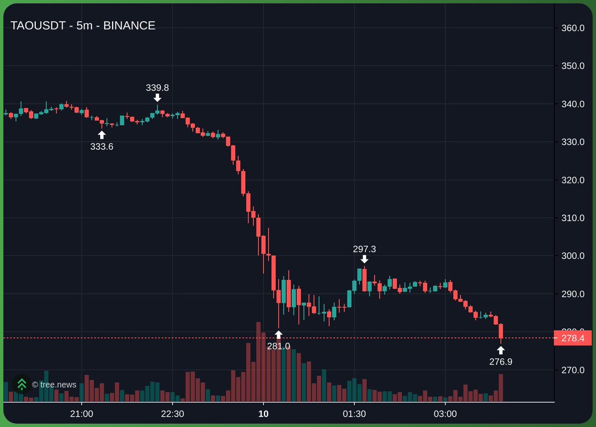 trenchmaxi tweet media
