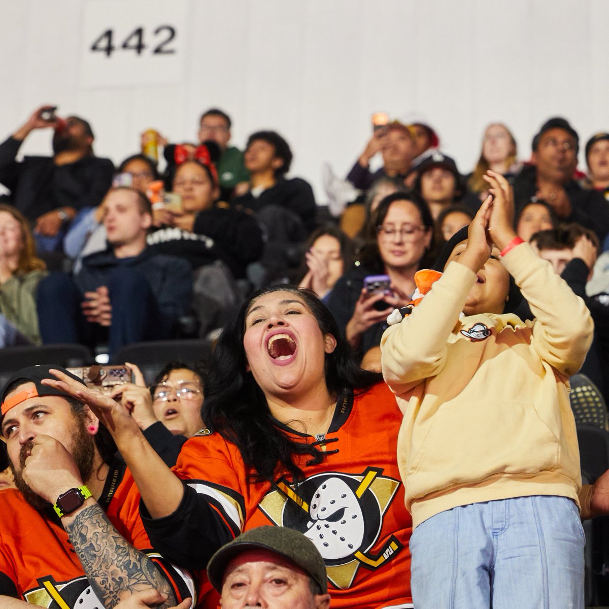 Anaheim Ducks tweet media