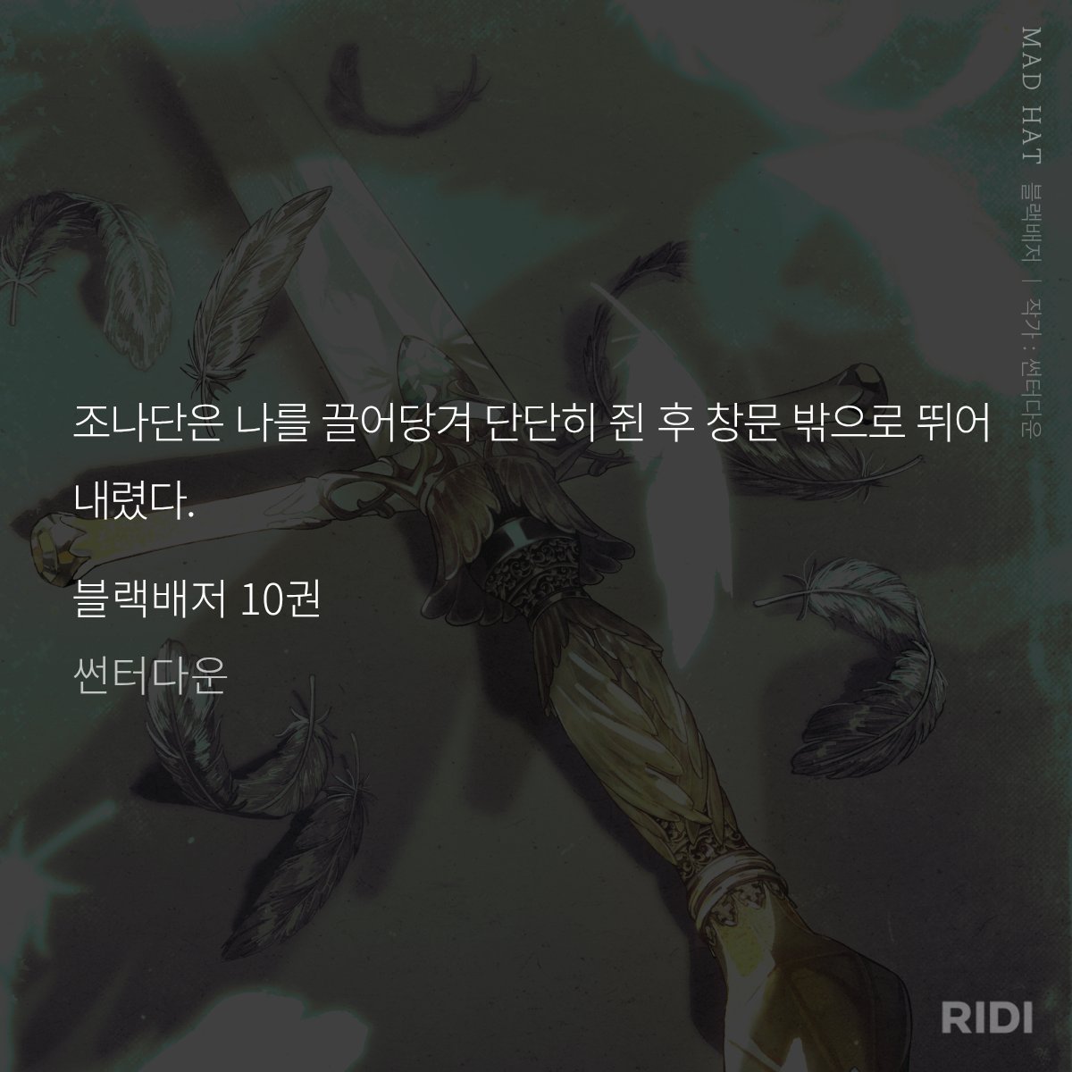 이케🛡🦡 tweet media