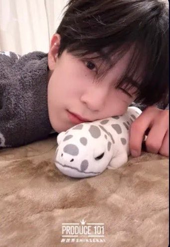 𝘮𝘦𝘪 tweet media