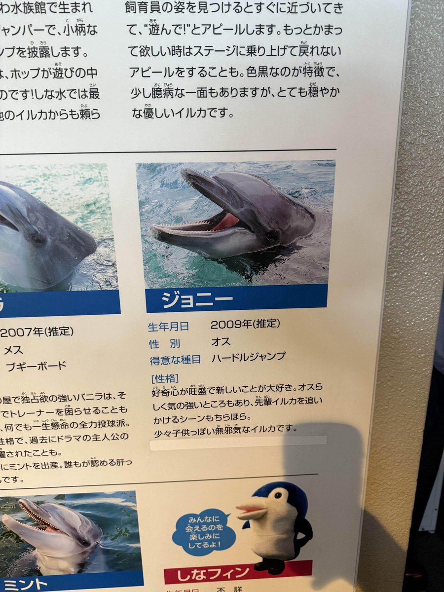 ジョニー tweet media