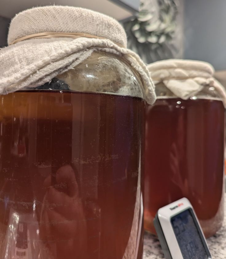 Saya sedang bikin kombucha. 😁 Adakah yang mau ngicipin?