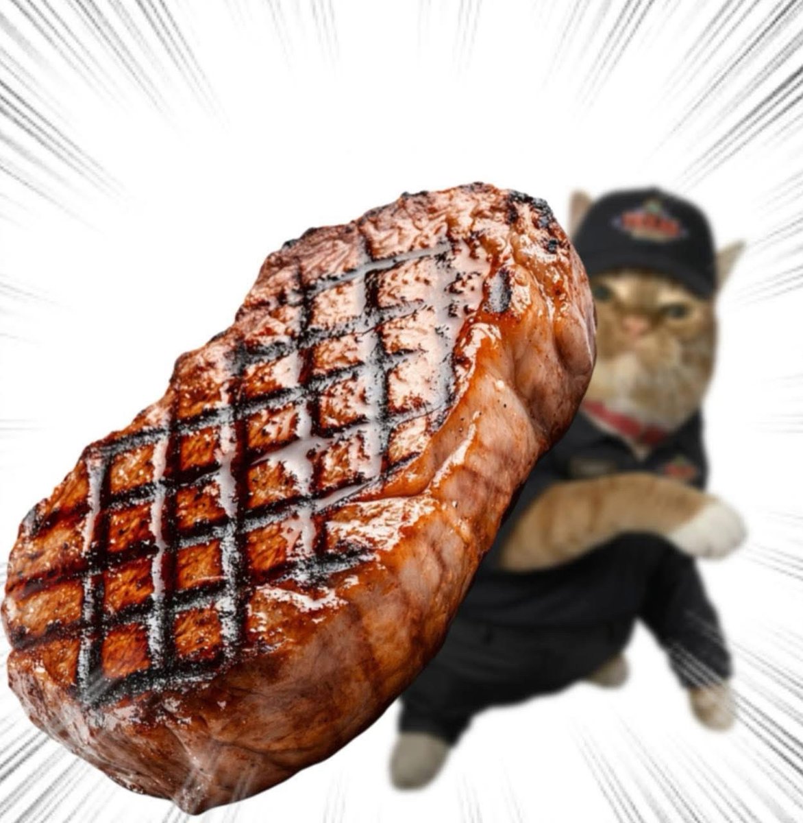 Throwing Things Daily tweet media