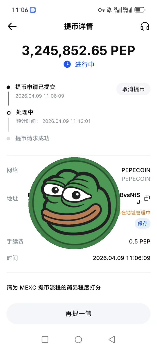 Qiqi｜淇淇🐸 tweet media