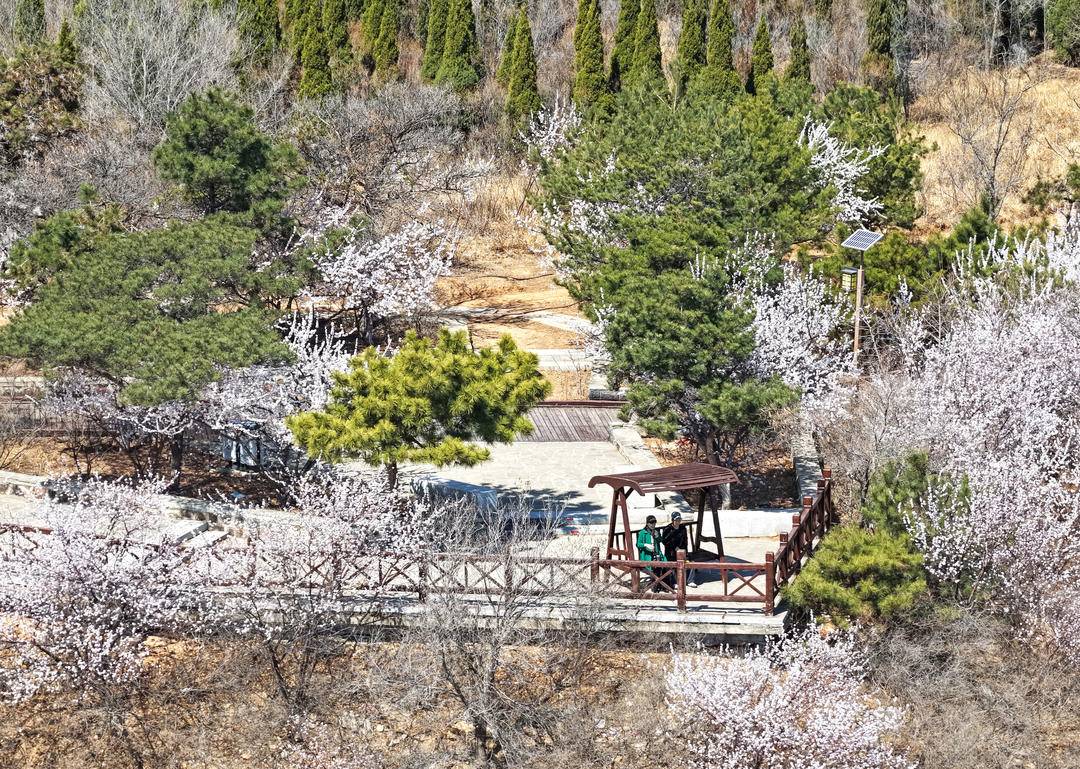 Liaoning, China tweet media