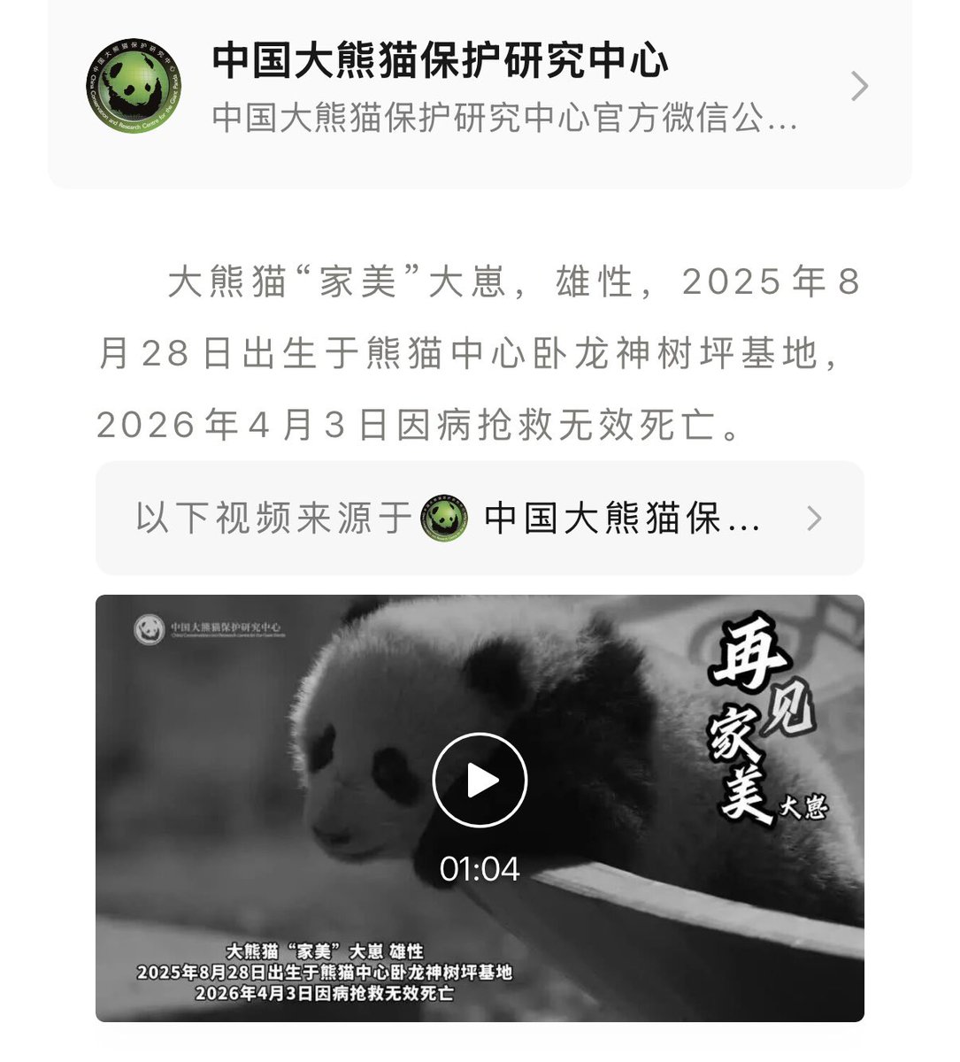 まりまり☆パンダ tweet media