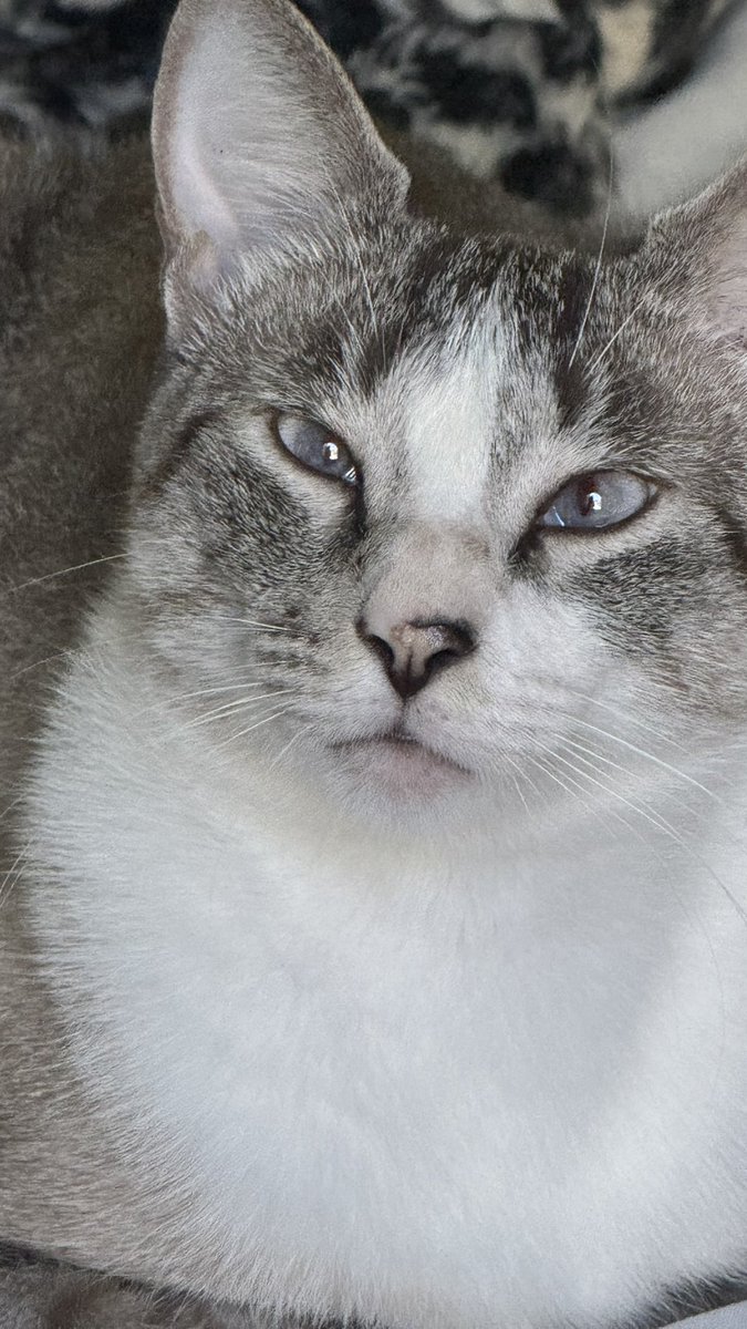 𝐅𝐞𝐫𝐧𝐚𝐧𝐝𝐚 tweet media