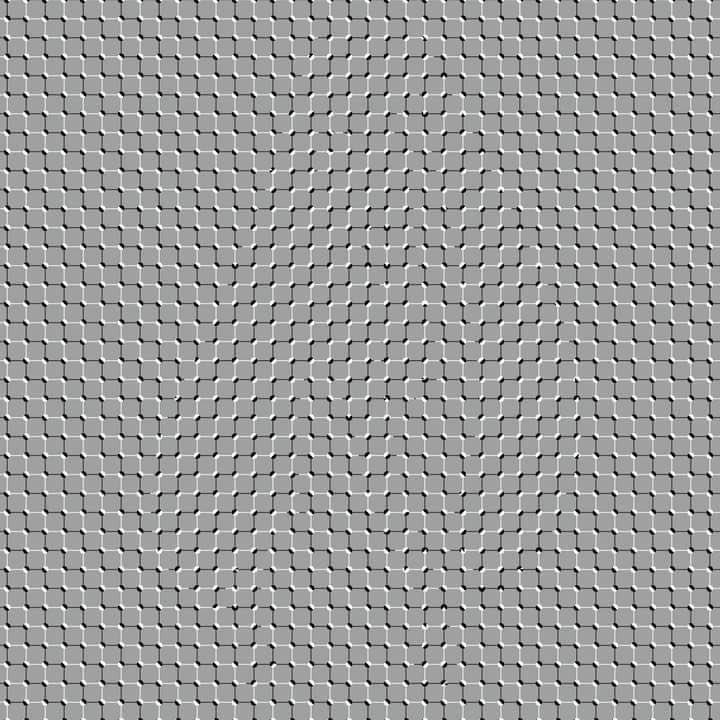 Smirnova 🍡 tweet media