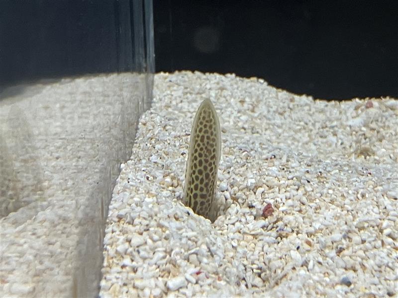 サンシャイン水族館 tweet media