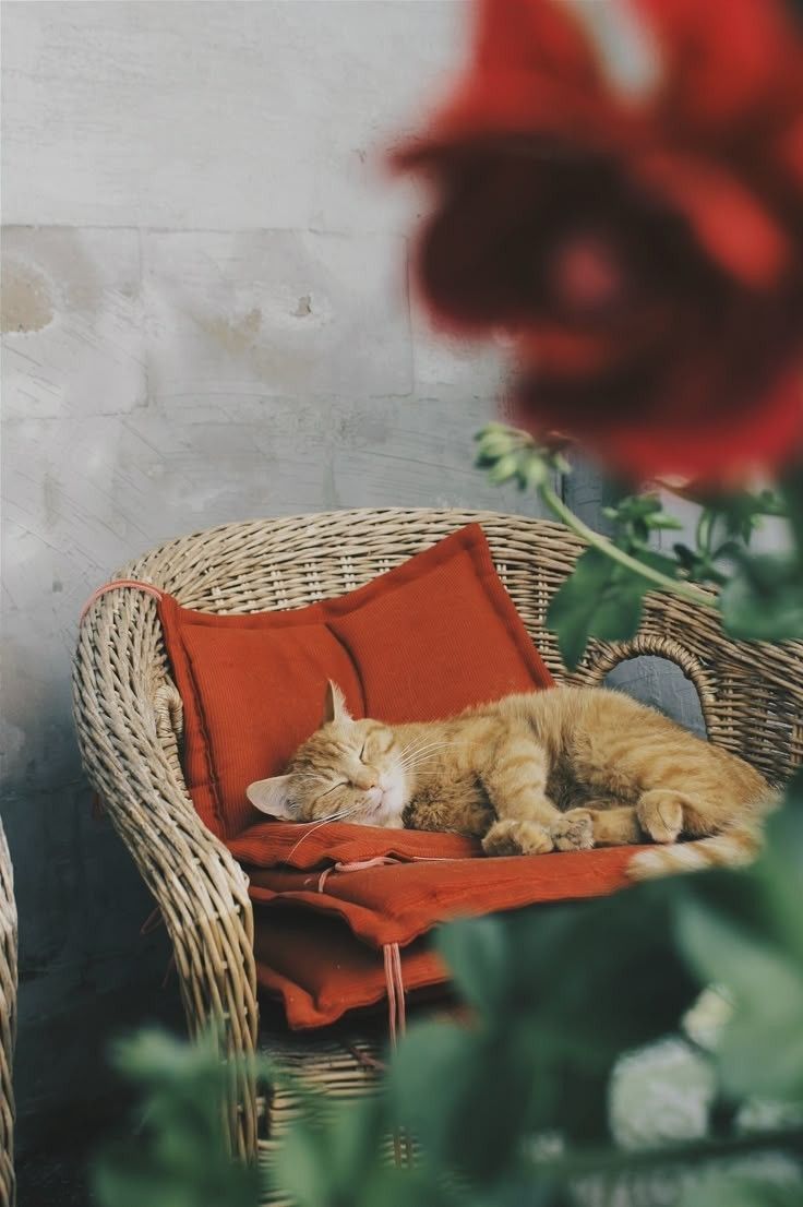 Poet's Photos tweet media