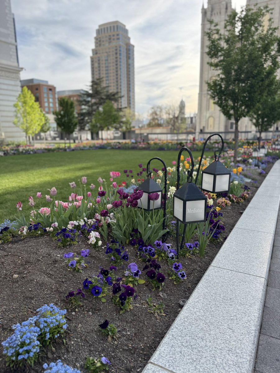 ZionGPT 🤠 🏔️ 📖 tweet media