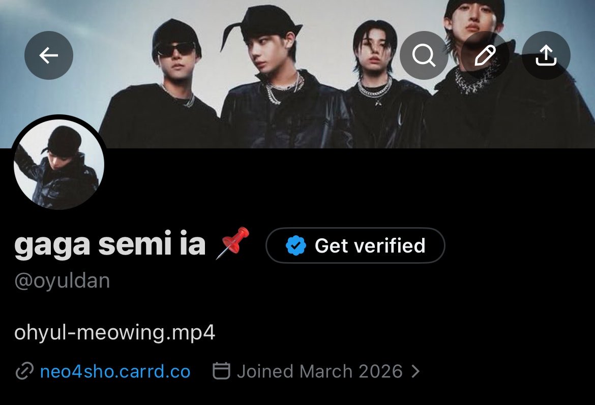 gaga limit tweet media