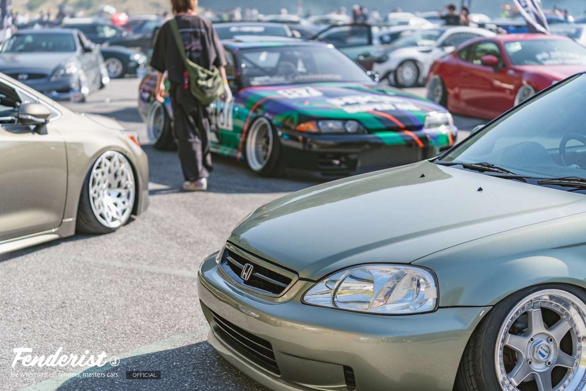 ドリドレ走公式 tweet media