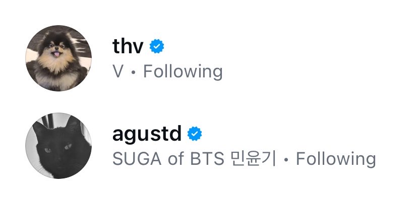 ciella (ia) tweet media